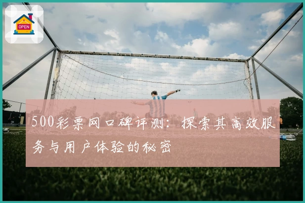 500彩票网口碑评测:探索其高效服务与用户体验的秘密