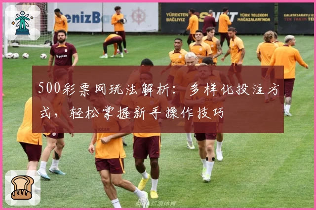 500彩票网玩法解析：多样化投注方式，轻松掌握新手操作技巧