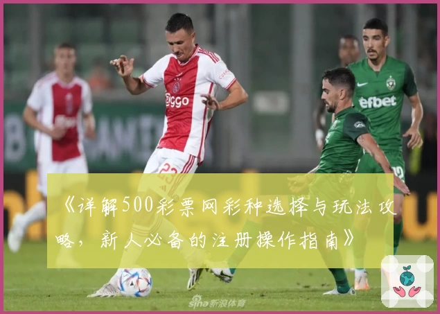 《详解500彩票网彩种选择与玩法攻略，新人必备的注册操作指南》