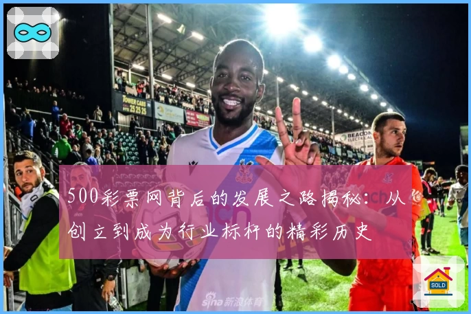 500彩票网背后的发展之路揭秘:从创立到成为行业标杆的精彩历史