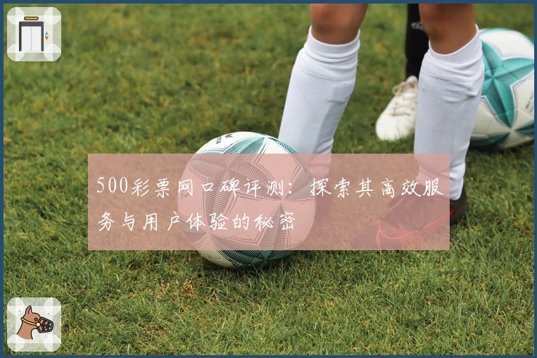 500彩票网口碑评测:探索其高效服务与用户体验的秘密