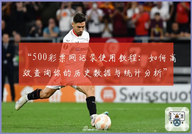“500彩票网记录使用教程：如何高效查询你的历史数据与统计分析”