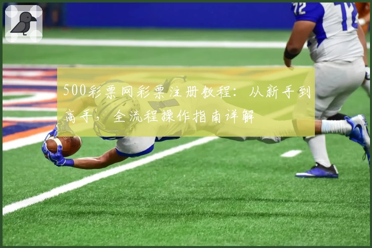500彩票网彩票注册教程：从新手到高手，全流程操作指南详解