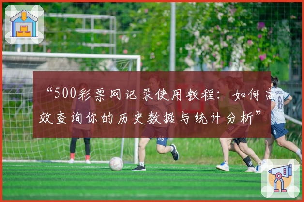 “500彩票网记录使用教程:如何高效查询你的历史数据与统计分析”